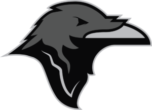 Sussex Tech - Raven Logo - Color